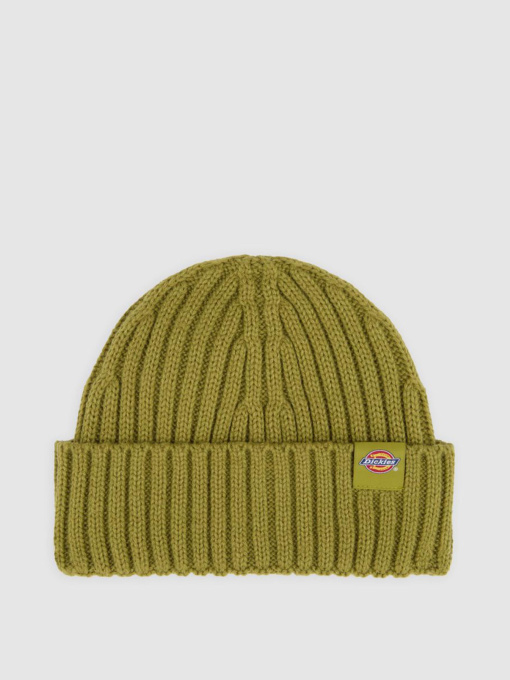 Шапка Dickies модель DK0A4Z2OL201 Фото