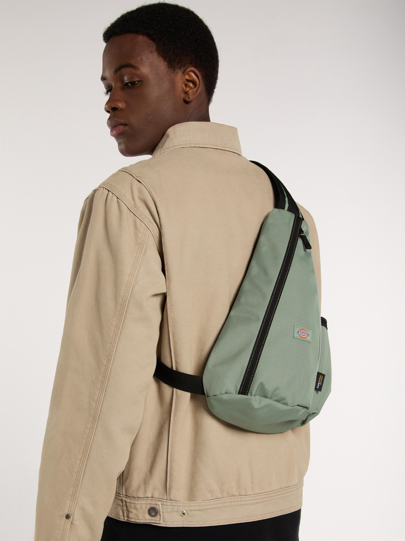 Сумка Dickies Ashville модель DK0A4Z3IL191 Фото