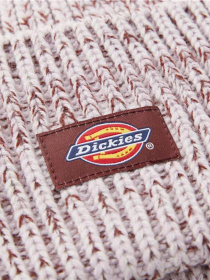 Шапка Dickies модель DK0A4Z3JK731 Фото