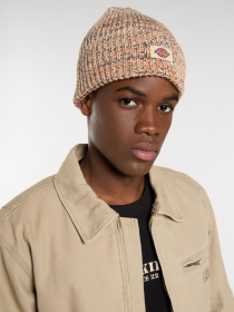 Шапка Dickies модель DK0A4Z3JL171 Фото