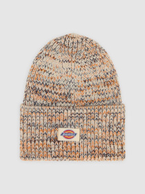 Шапка Dickies модель DK0A4Z3JL171 Фото