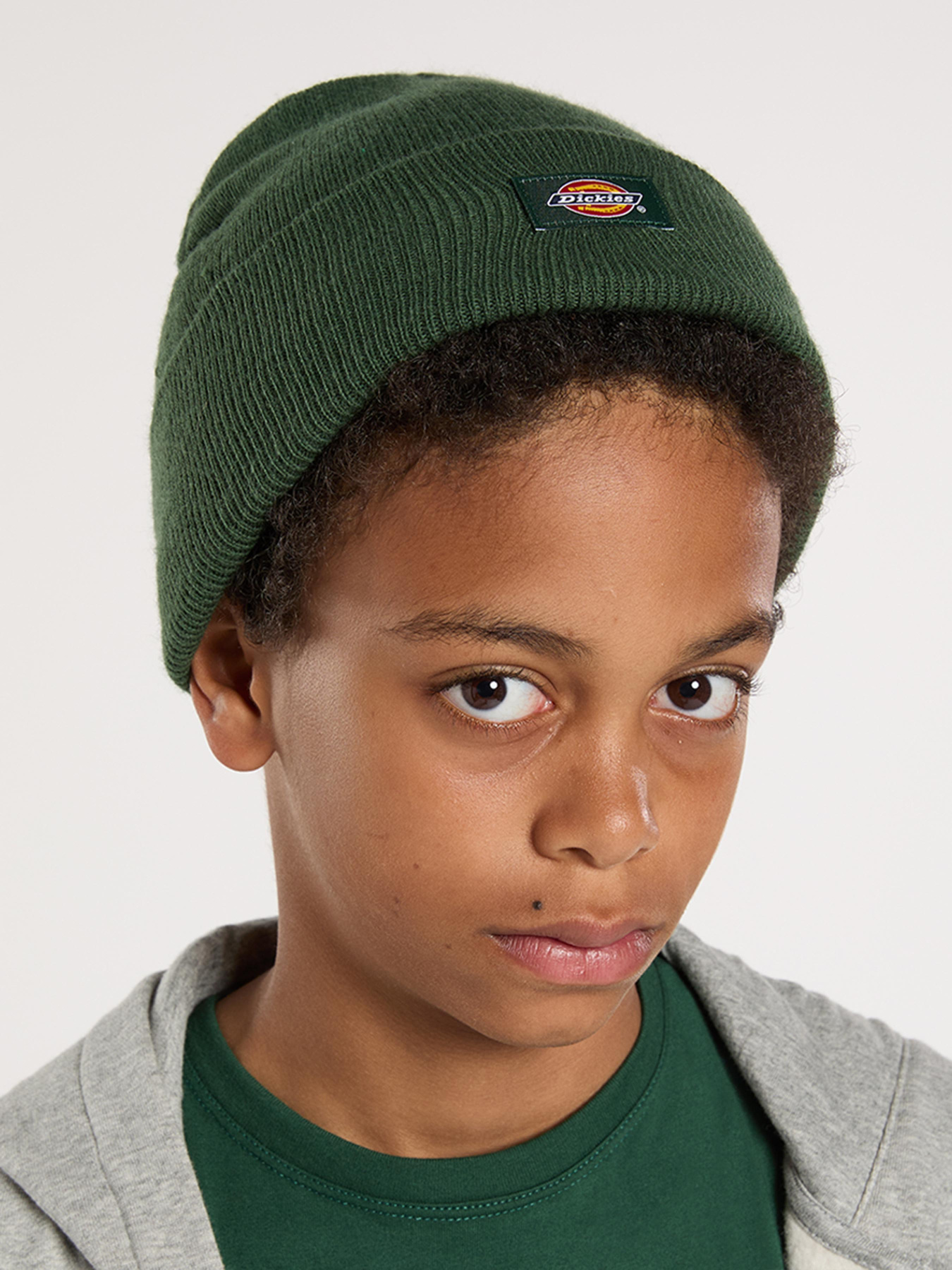 Шапка Dickies модель DK0A4Z3RPIN1 Фото