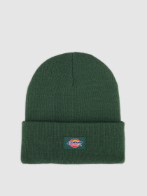 Шапка Dickies модель DK0A4Z3RPIN1 Фото