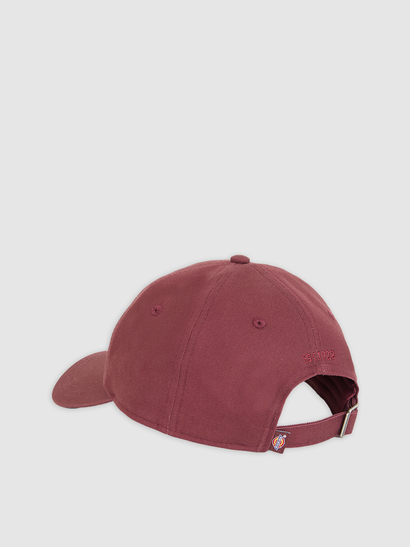 Кепка Dickies Essential Dad модель DK0A4Z6NL161 Фото