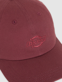 Кепка Dickies Essential Dad модель DK0A4Z6NL161 Фото
