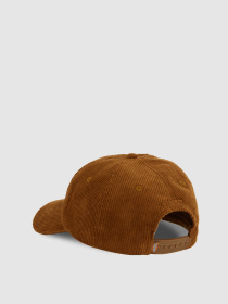 Кепка Dickies Hardwick Corduroy модель DK0A4ZAY0BD1 Фото