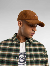 Кепка Dickies Hardwick Corduroy модель DK0A4ZAY0BD1 Фото