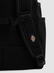 Повсякденний рюкзак Dickies Ashville Utility Roll Top модель DK0A87MXBLK1 Фото