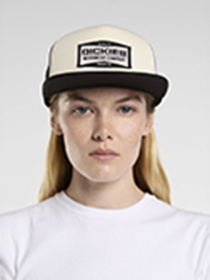 Кепка Dickies Bolivar Trucker модель DK0A87NCBLK1 Фото