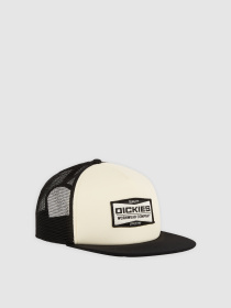 Кепка Dickies Bolivar Trucker модель DK0A87NCBLK1 Фото