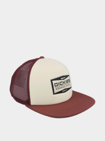 Кепка Dickies модель DK0A87NCL161 Фото