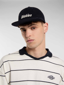 Кепка Dickies Williston Модель DK0A87NEL181 Фото