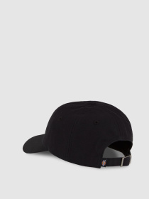 Кепка Dickies модель DK0A87NFBLK1 Фото