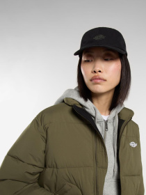 Кепка Dickies модель DK0A87NFBLK1 Фото