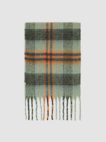 Шарф Dickies модель DK0A87PCL191 Фото