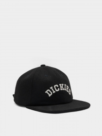 Кепка Dickies West Vale модель DK0A4YFZBLK1 Фото