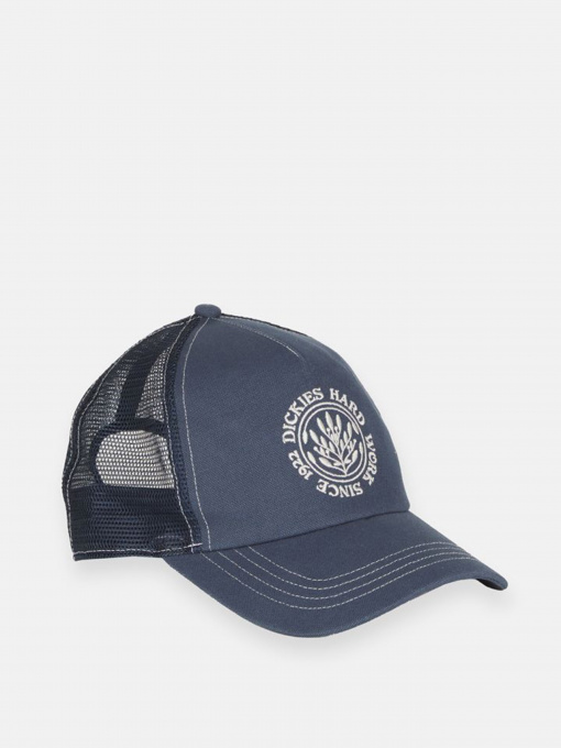 Кепка Dickies модель DK0A4Y9FAF01 Фото