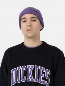 Шапка Dickies Woodworth модель DK0A4XFDF931 Фото