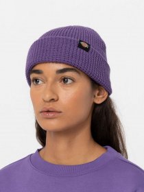 Шапка Dickies Woodworth модель DK0A4XFDF931 Фото