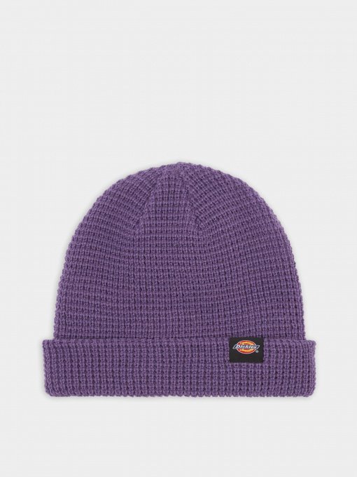 Шапка Dickies Woodworth модель DK0A4XFDF931 Фото