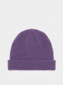 Шапка Dickies Woodworth модель DK0A4XFDF931 Фото