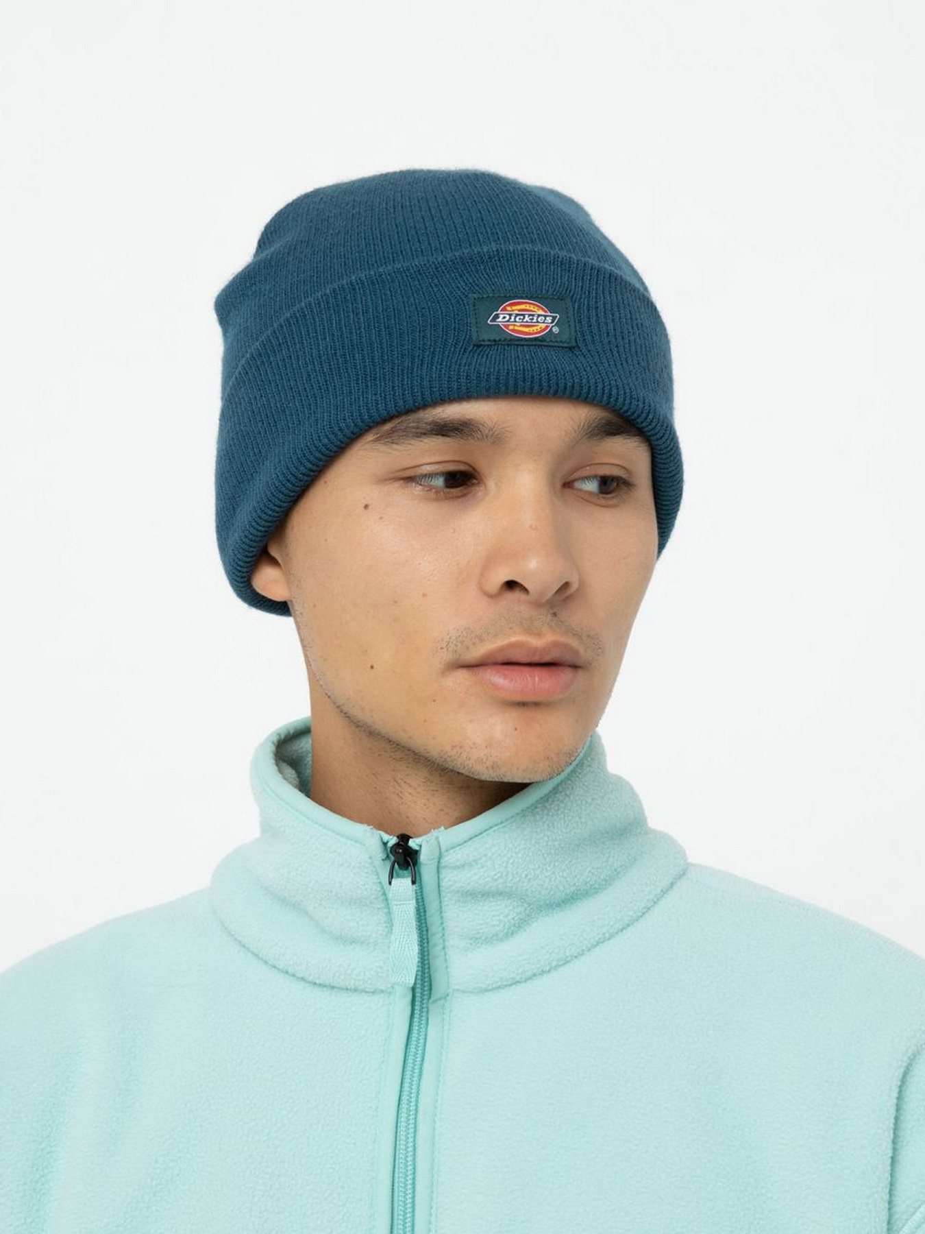 Шапка Dickies Gibsland модель DK0A4X7KF971 Фото