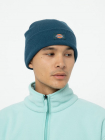Шапка Dickies Gibsland модель DK0A4X7KF971 Фото