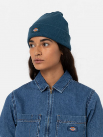 Шапка Dickies Gibsland модель DK0A4X7KF971 Фото