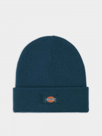 Шапка Dickies Gibsland модель DK0A4X7KF971 Фото