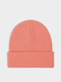 Шапка Dickies Gibsland модель DK0A4X7KG021 Фото