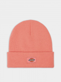 Шапка Dickies Gibsland модель DK0A4X7KG021 Фото