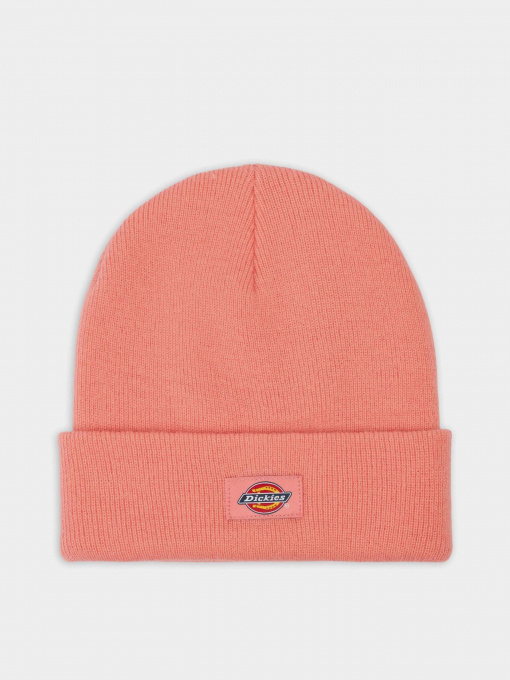 Шапка Dickies Gibsland модель DK0A4X7KG021 Фото