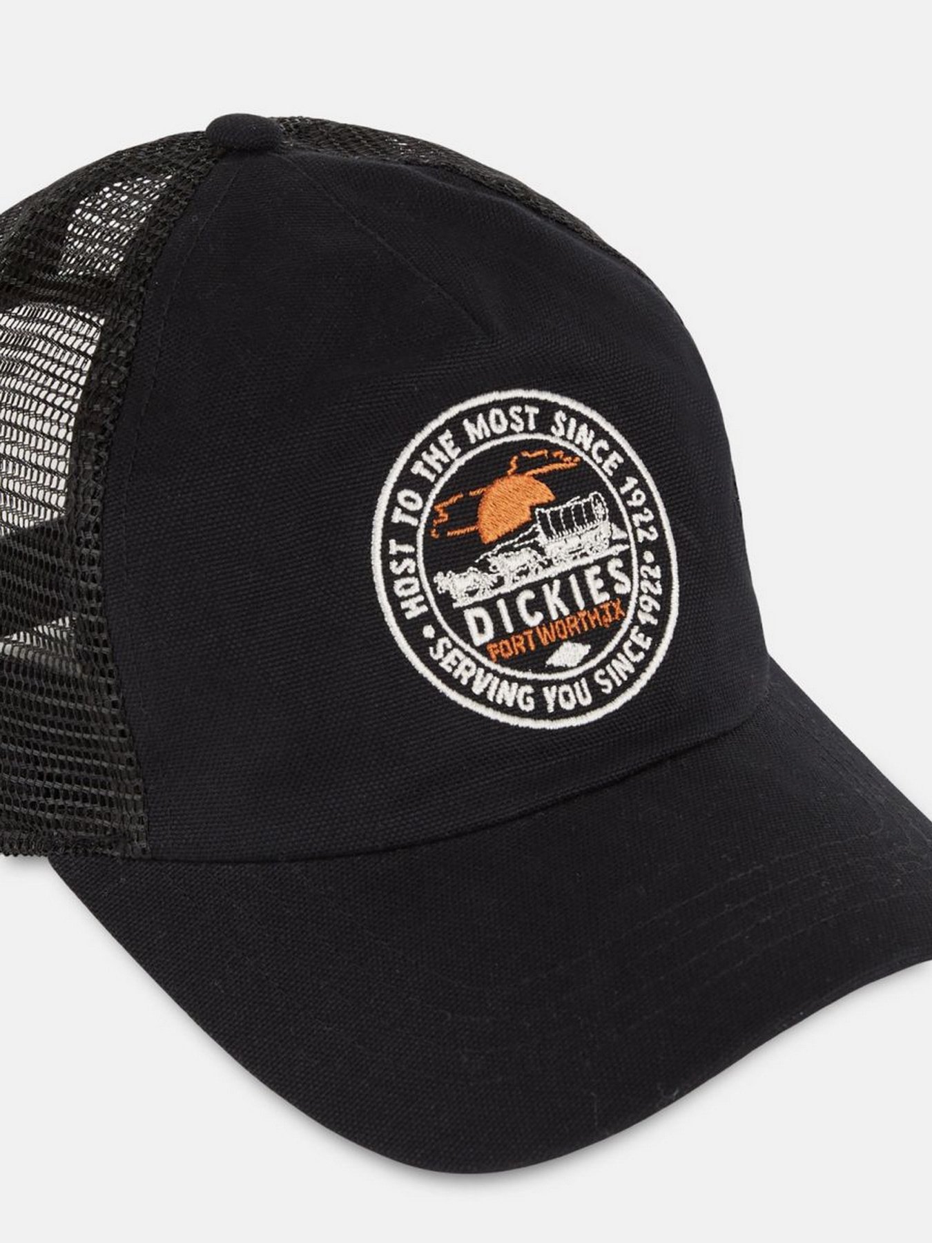 Кепка Dickies Greensburg модель DK0A4YHTBLK1 Фото