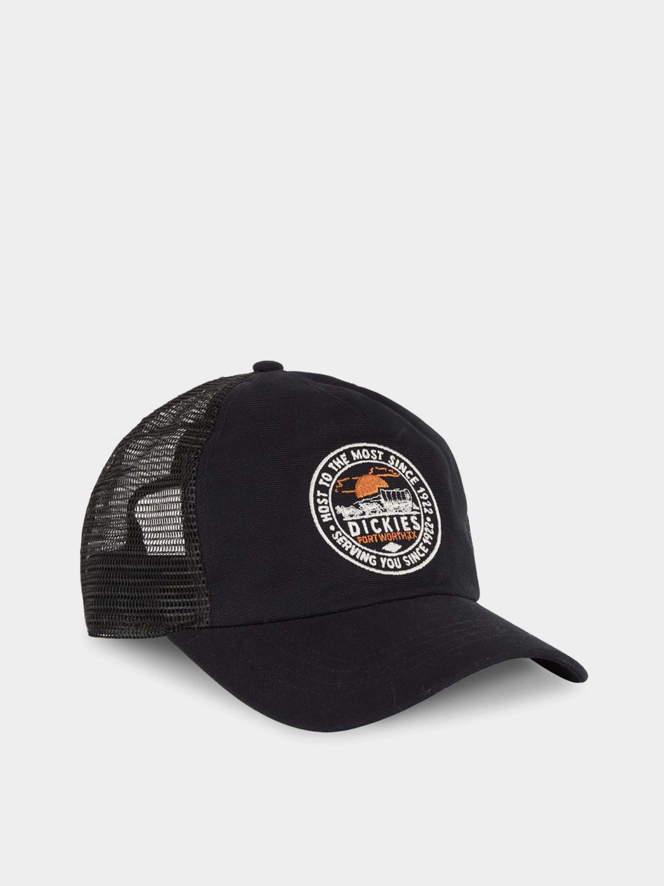 Кепка Dickies Greensburg модель DK0A4YHTBLK1 Фото