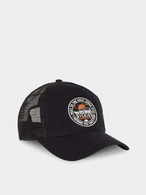 Кепка Dickies Greensburg модель DK0A4YHTBLK1 Фото