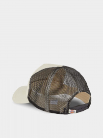 Кепка Dickies Greensburg модель DK0A4YHTF901 Фото