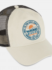 Кепка Dickies Greensburg модель DK0A4YHTF901 Фото