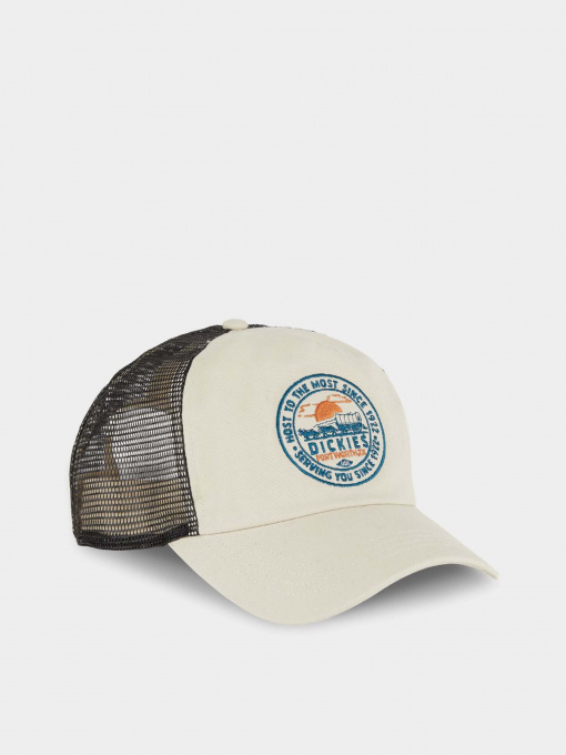 Кепка Dickies Greensburg модель DK0A4YHTF901 Фото