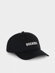 Кепка Dickies Hays модель DK0A4YHQBLK1 Фото