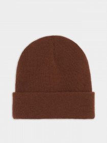 Шапка Dickies Gibsland модель DK0A4X7KD711 Фото