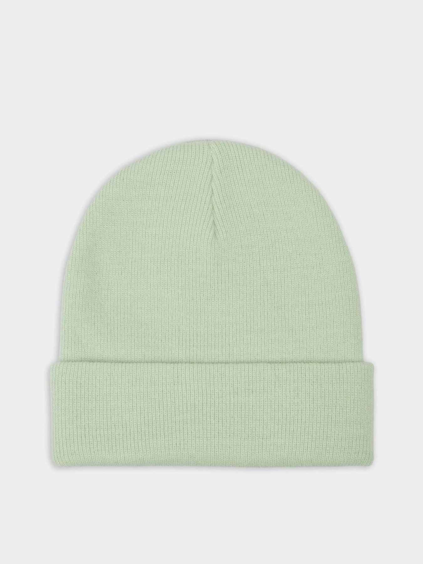 Шапка Dickies Gibsland модель DK0A4X7KF921 Фото