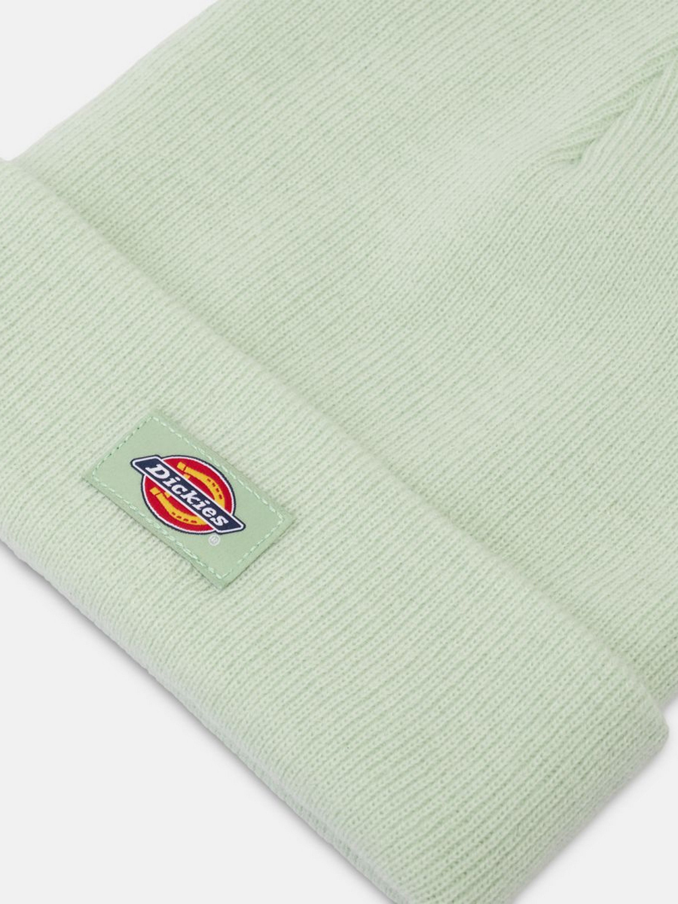 Шапка Dickies Gibsland модель DK0A4X7KF921 Фото