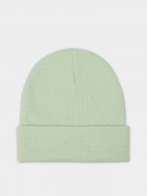 Шапка Dickies Gibsland модель DK0A4X7KF921 Фото