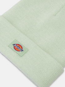 Шапка Dickies Gibsland модель DK0A4X7KF921 Фото