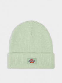 Шапка Dickies Gibsland модель DK0A4X7KF921 Фото