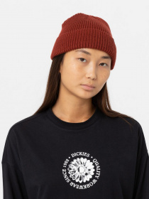 Шапка Dickies Woodworth Beanie модель DK0A4X7YG041 Фото
