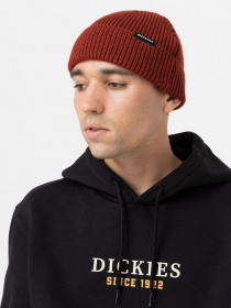 Шапка Dickies Woodworth Beanie модель DK0A4X7YG041 Фото
