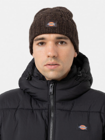 Шапка Dickies Hoxie Beanie модель DK0A4YHOD711 Фото