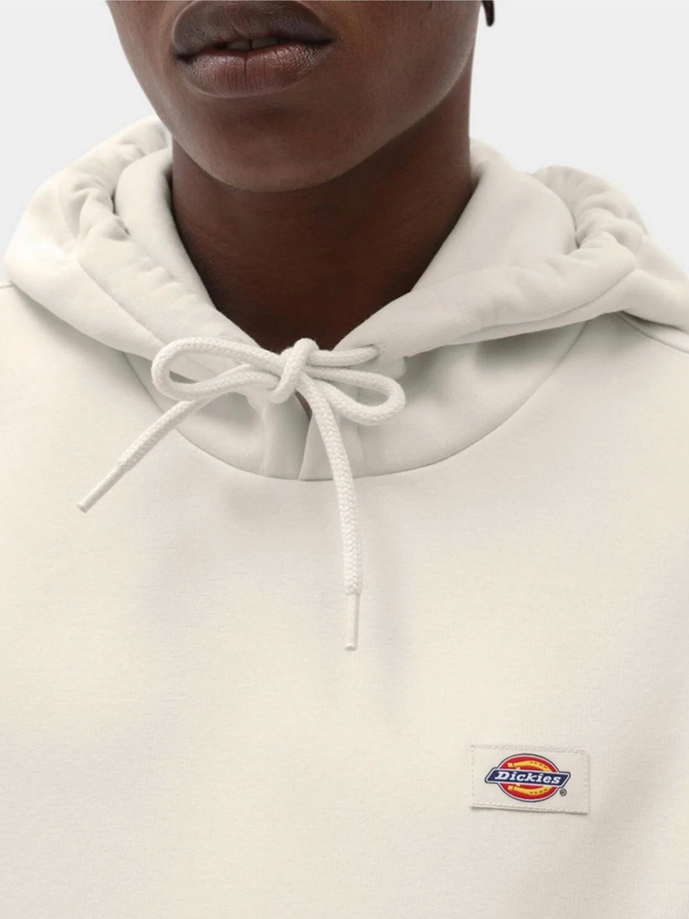 Худі Dickies Oakport модель DK0A4XCDECR1 Фото