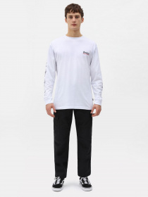 Карго Dickies Millerville модель DK0A4XDUBLK1 Фото